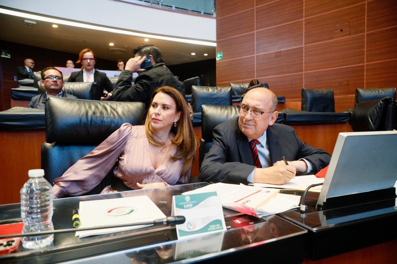 WhatsApp Image 2025-11-12 at 13