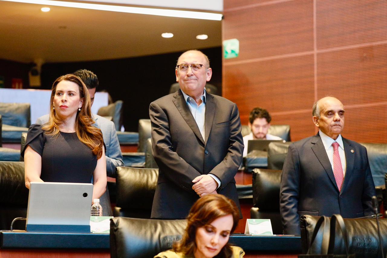 WhatsApp Image 2025-11-12 at 13